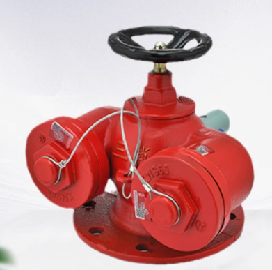 淇兴源 消防水泵接合器消防水泵接合器 SQS100-1.6