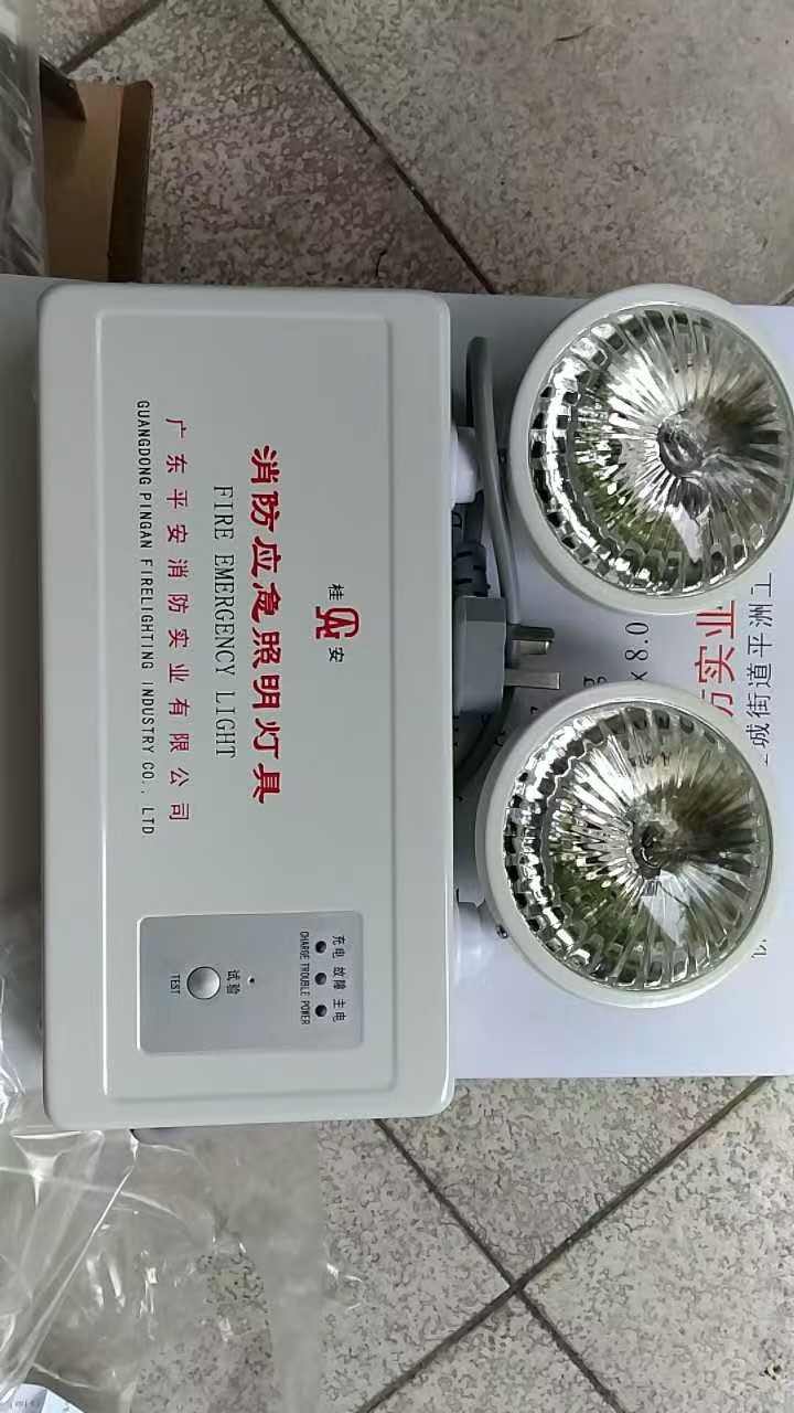 桂安 消防应急照明灯 DYZ2-DT1 AC220V
