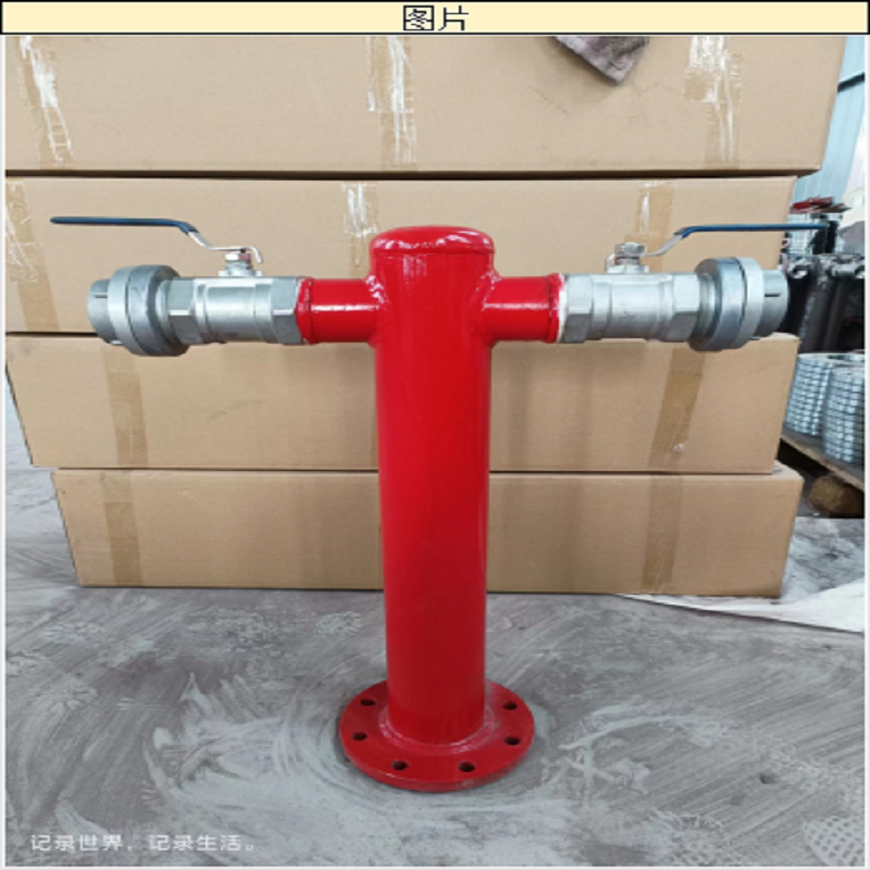 DONG/东岳 泡沫消火栓|SSP100/65-1.6