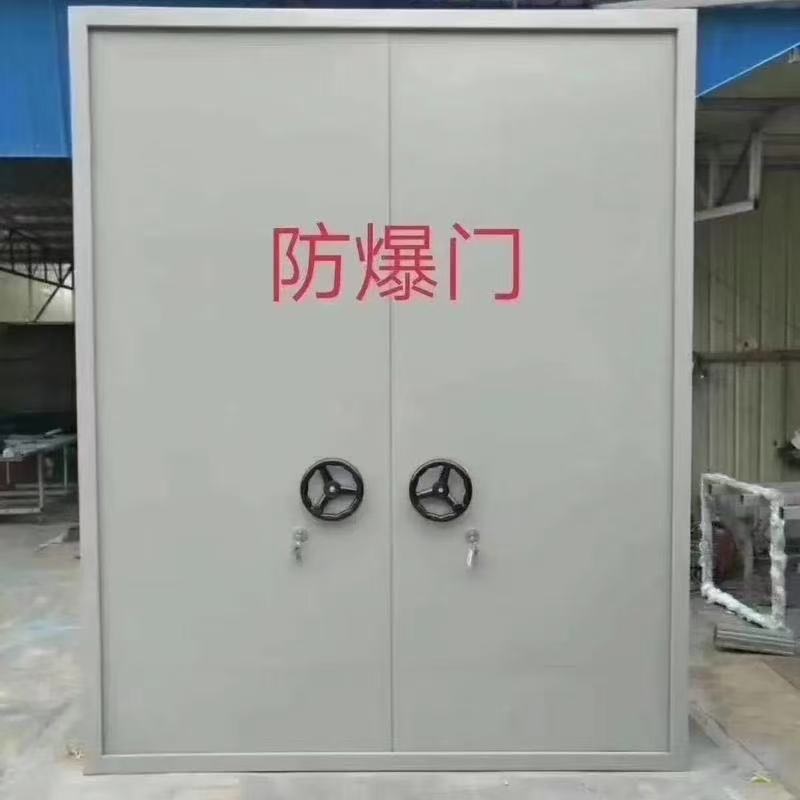GUOCHANPUTONG/国产普通 龙创 防爆门 FBM-LC型 2500*2400mm