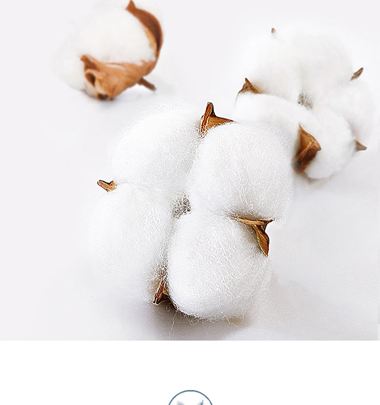 CS2312-1 S-5XL 躯干防护 白色