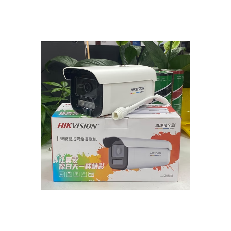 海康威视 DS-2CD3T67SWDV3-L(4mm)  日夜臻全彩600万2.0高清拾音摄像头