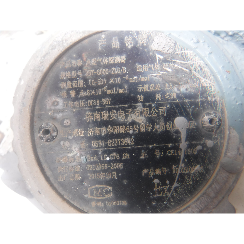 瑞安 RBT6000ZLG/B 点型气体探测器带声光报警（防爆 硫化氢 带灯）